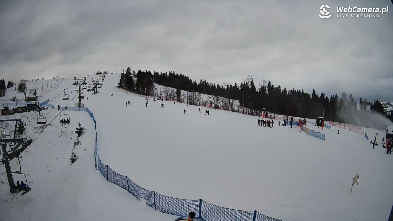 Grapa Litwinka Czarna Góra - 30 grudzień 2025, 11:18
