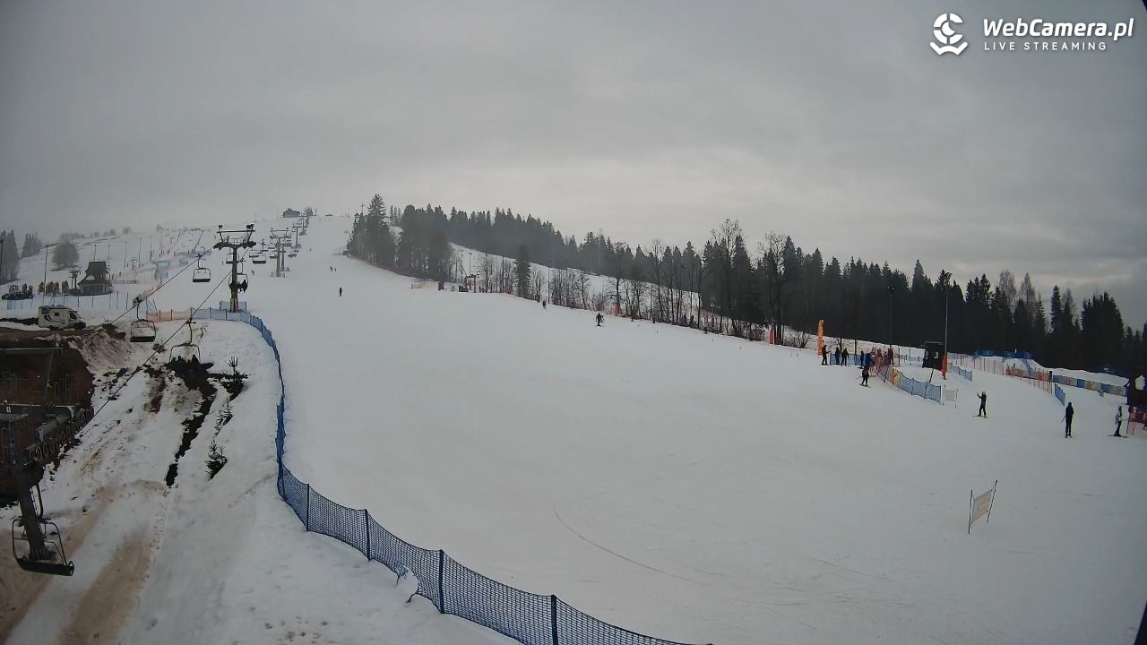 Grapa Litwinka Czarna Góra - 14 luty 2026, 11:27