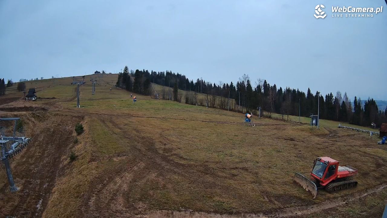 Grapa Litwinka Czarna Góra - 15 listopad 2025, 15:51