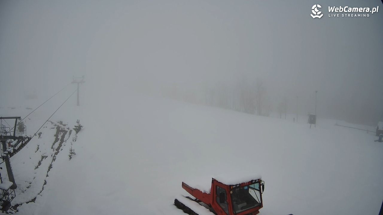 Grapa Litwinka Czarna Góra - 28 marzec 2026, 15:18