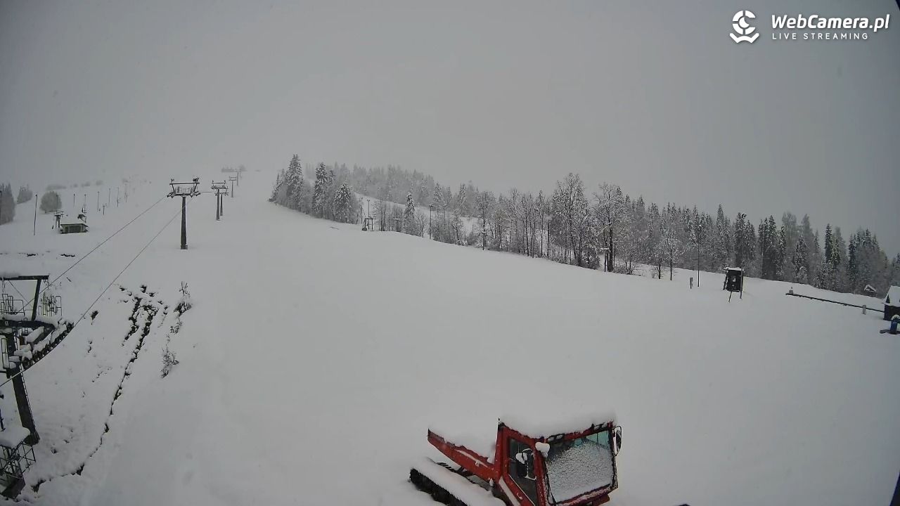 Grapa Litwinka Czarna Góra - 27 marzec 2026, 17:41