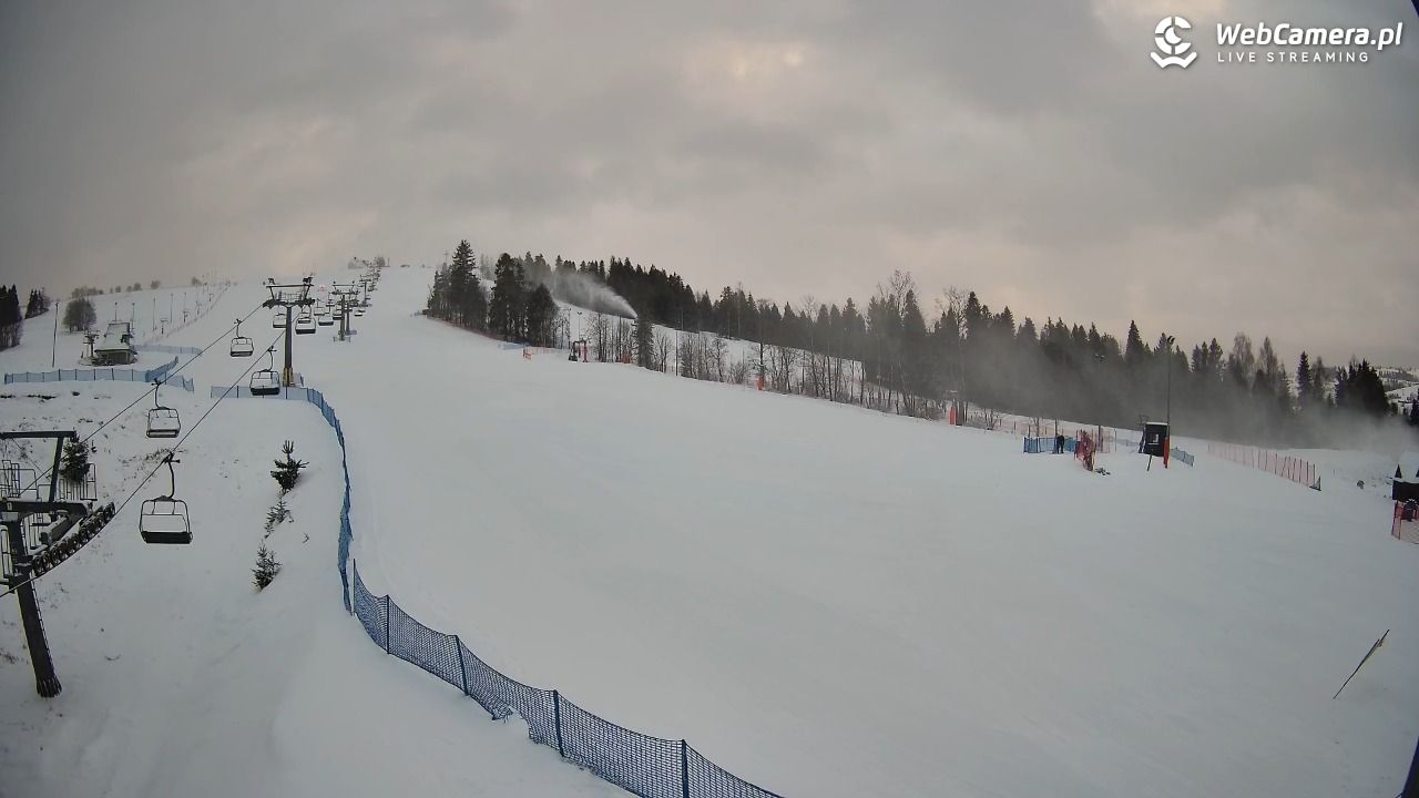 Grapa Litwinka Czarna Góra - 31 grudzień 2025, 07:59
