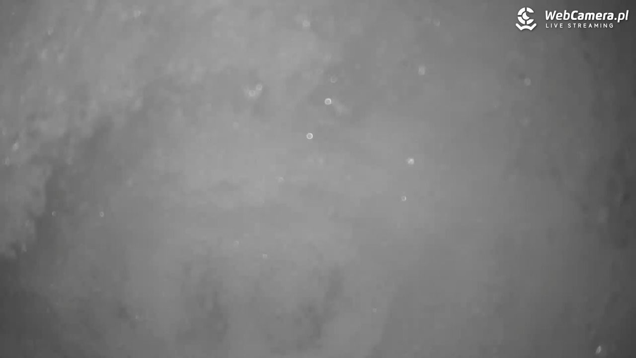 Małe Ciche - trasy - 13 styczeń 2026, 10:30