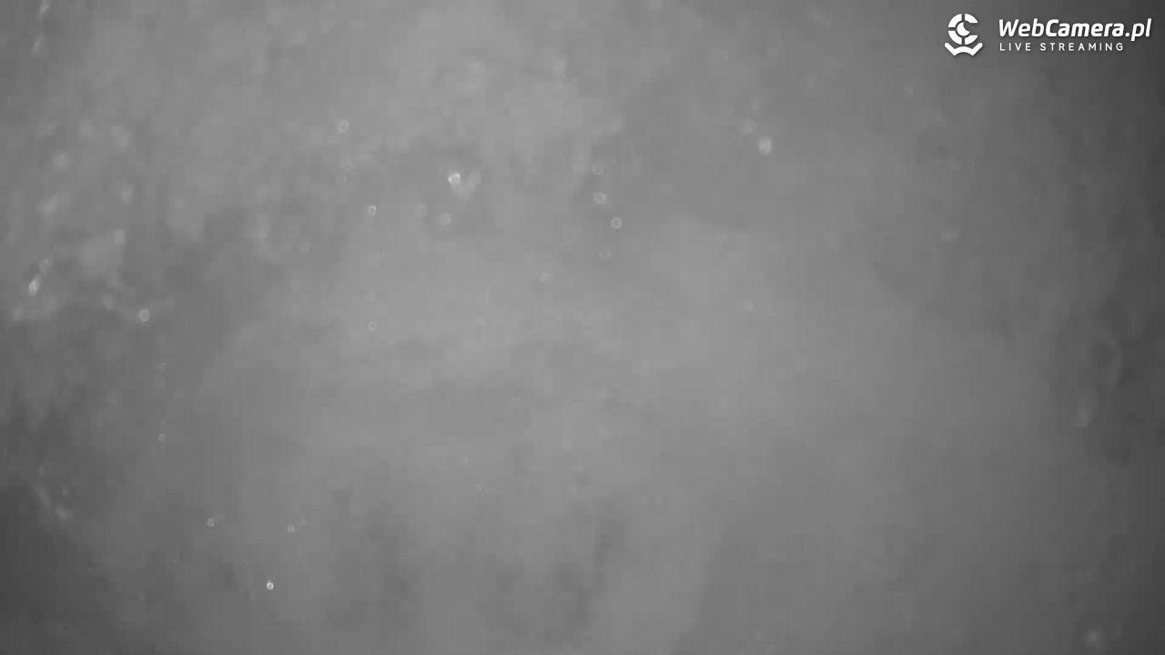 Małe Ciche - trasy - 13 styczeń 2026, 12:02