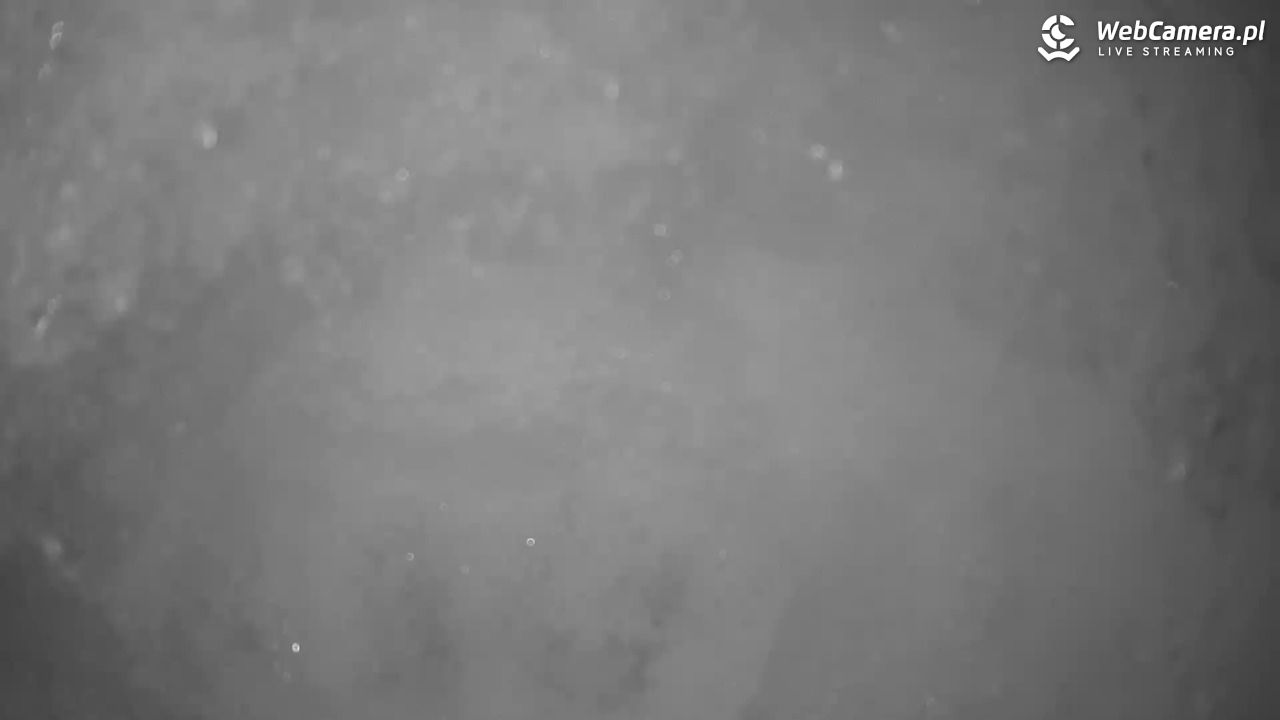 Małe Ciche - trasy - 13 styczeń 2026, 12:55