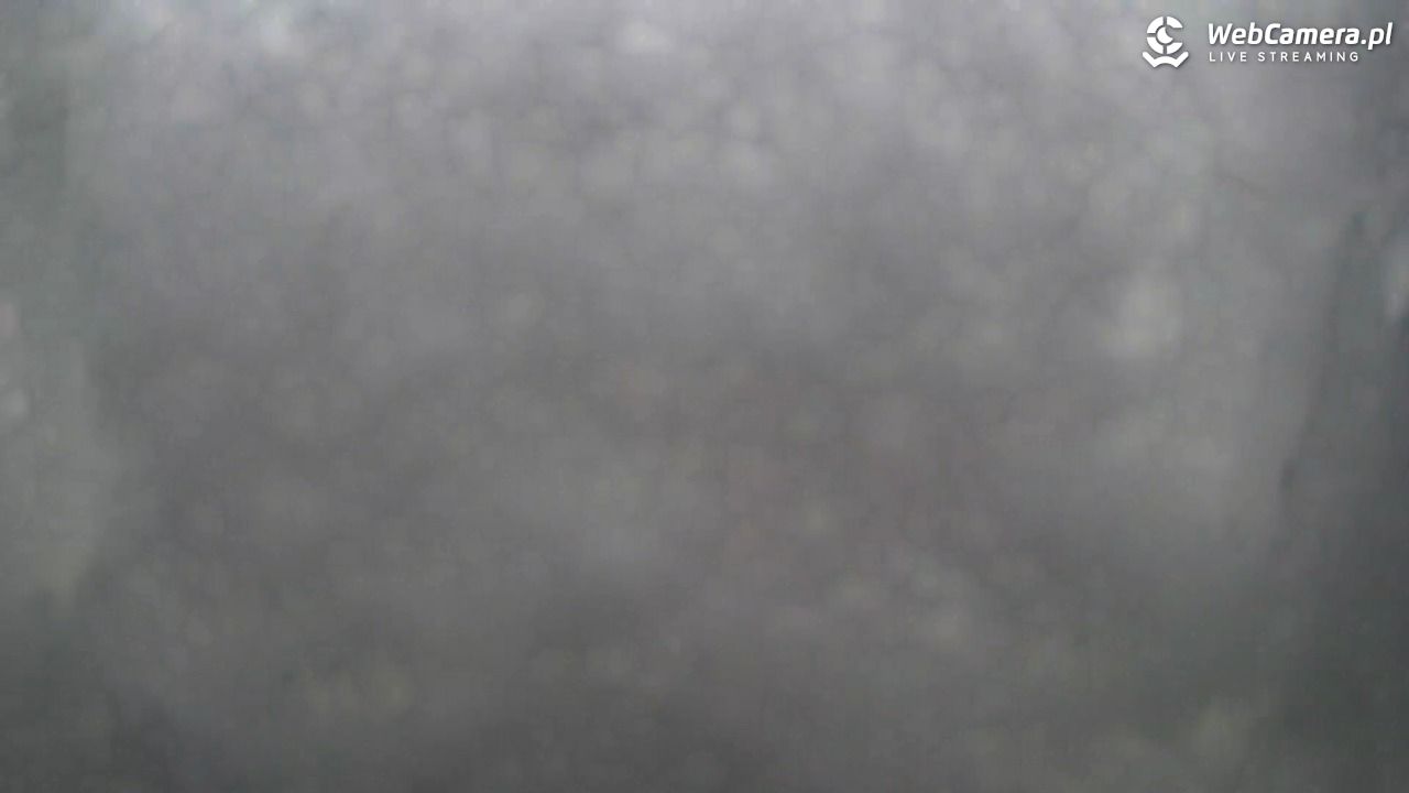 Małe Ciche - trasy - 27 marzec 2026, 17:10