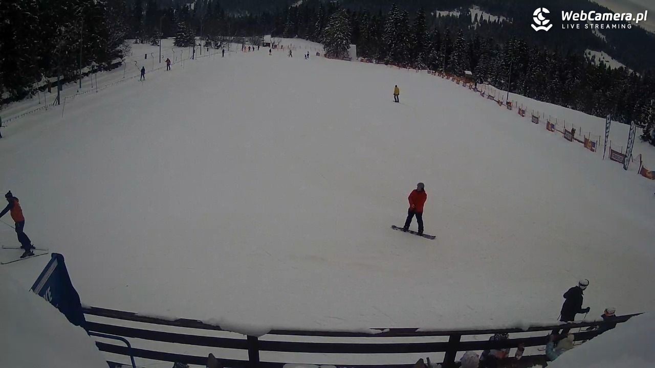 Małe Ciche - trasy - 14 styczeń 2026, 12:39