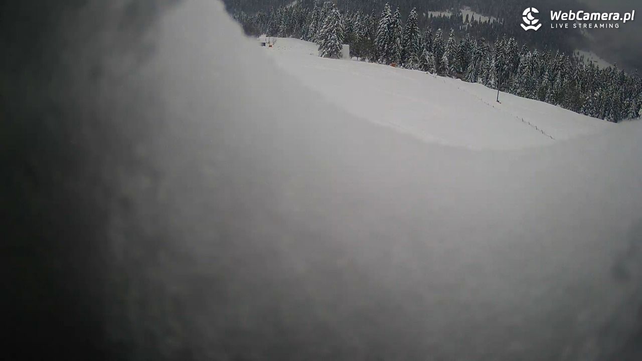 Małe Ciche - trasy - 02 kwiecień 2026, 10:47