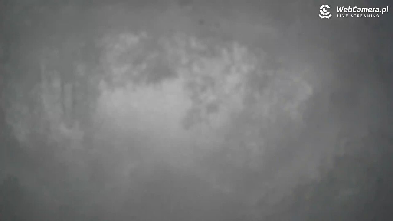 Małe Ciche - trasy - 09 styczeń 2026, 10:03