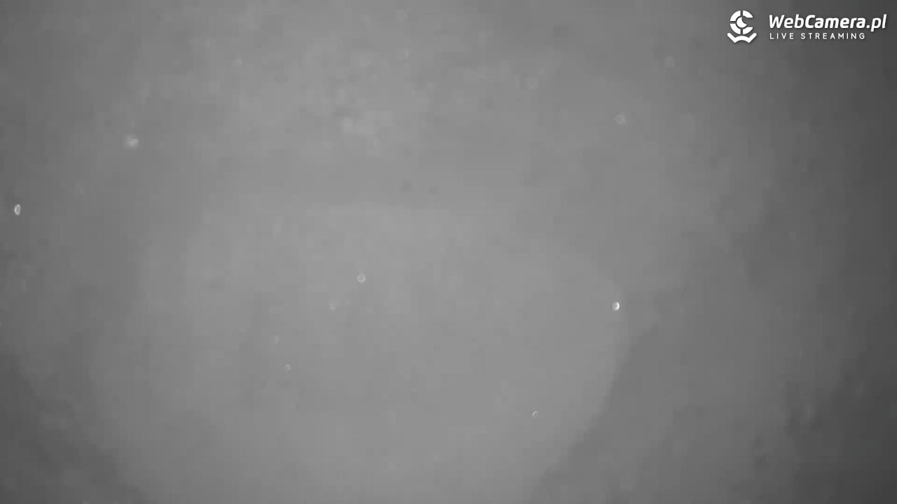 Małe Ciche - trasy - 11 styczeń 2026, 11:40