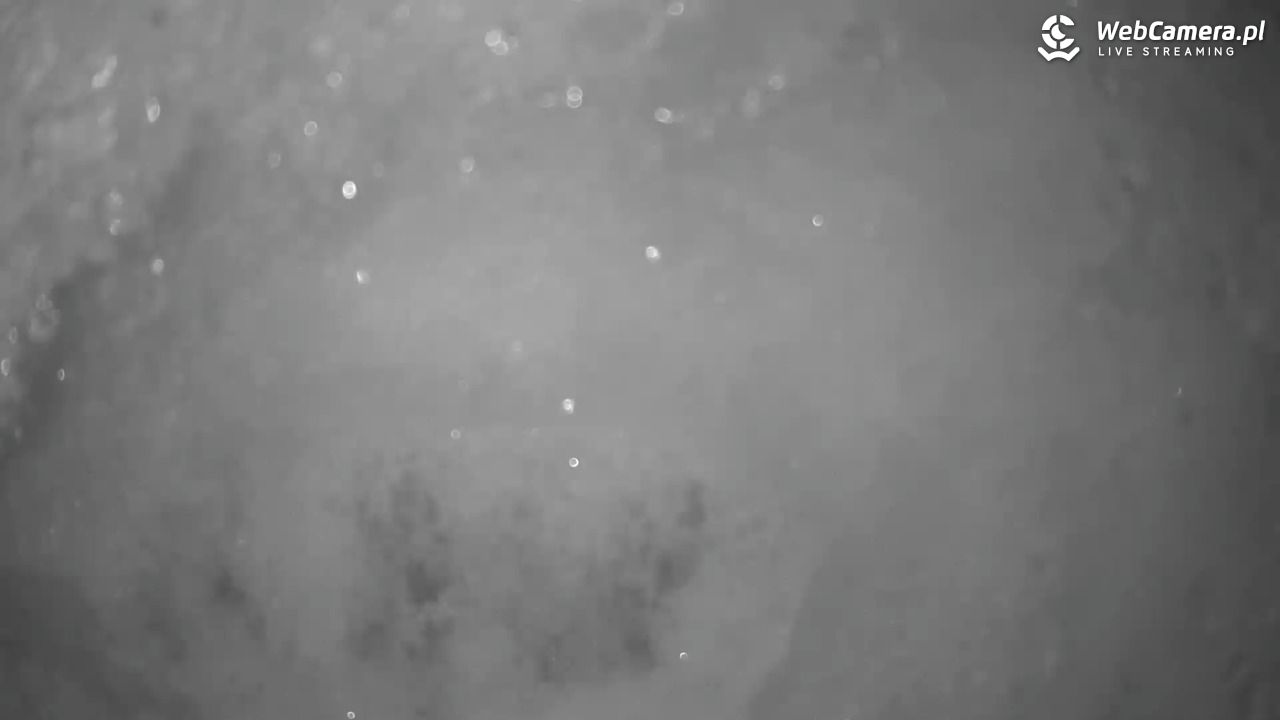 Małe Ciche - trasy - 12 styczeń 2026, 20:17