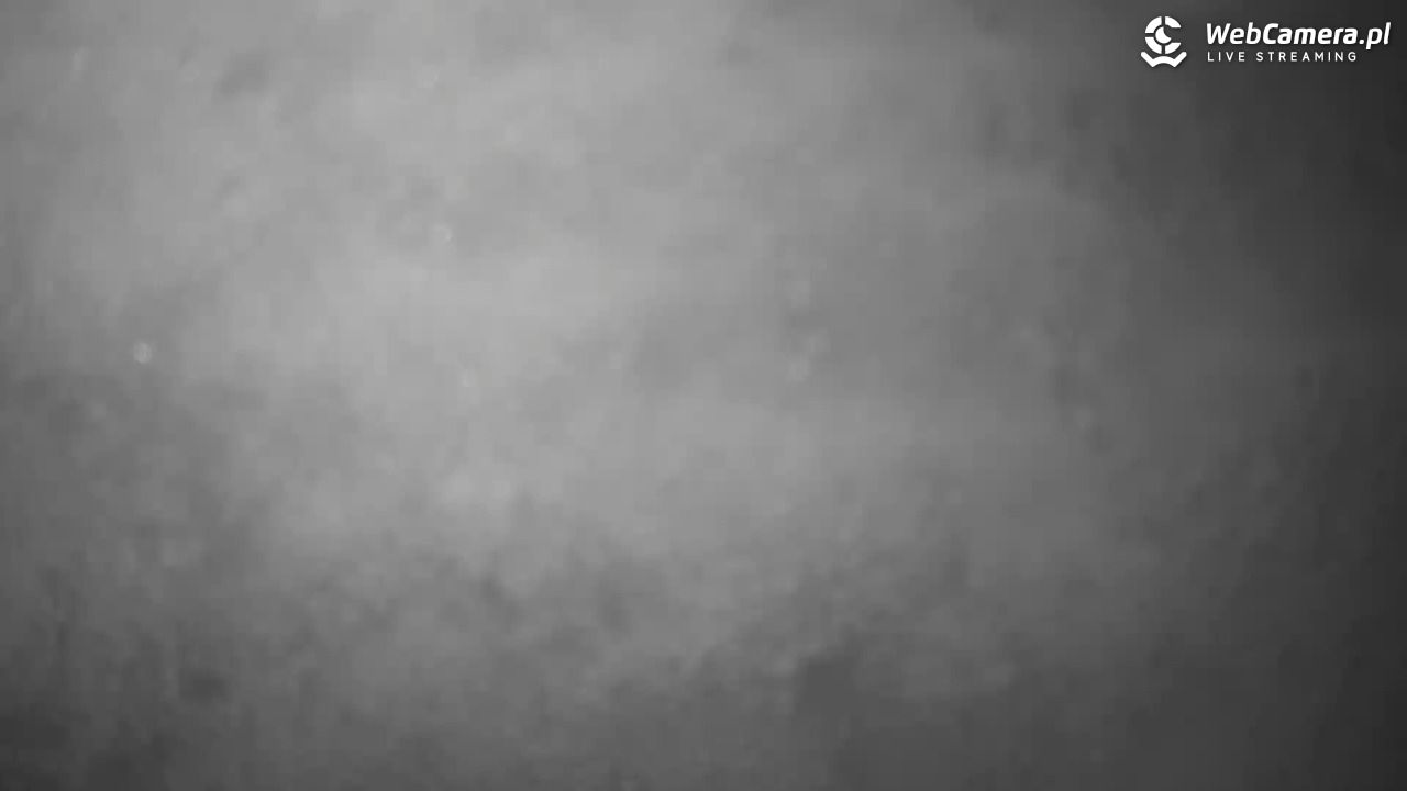 Małe Ciche - trasy - 31 marzec 2026, 12:22