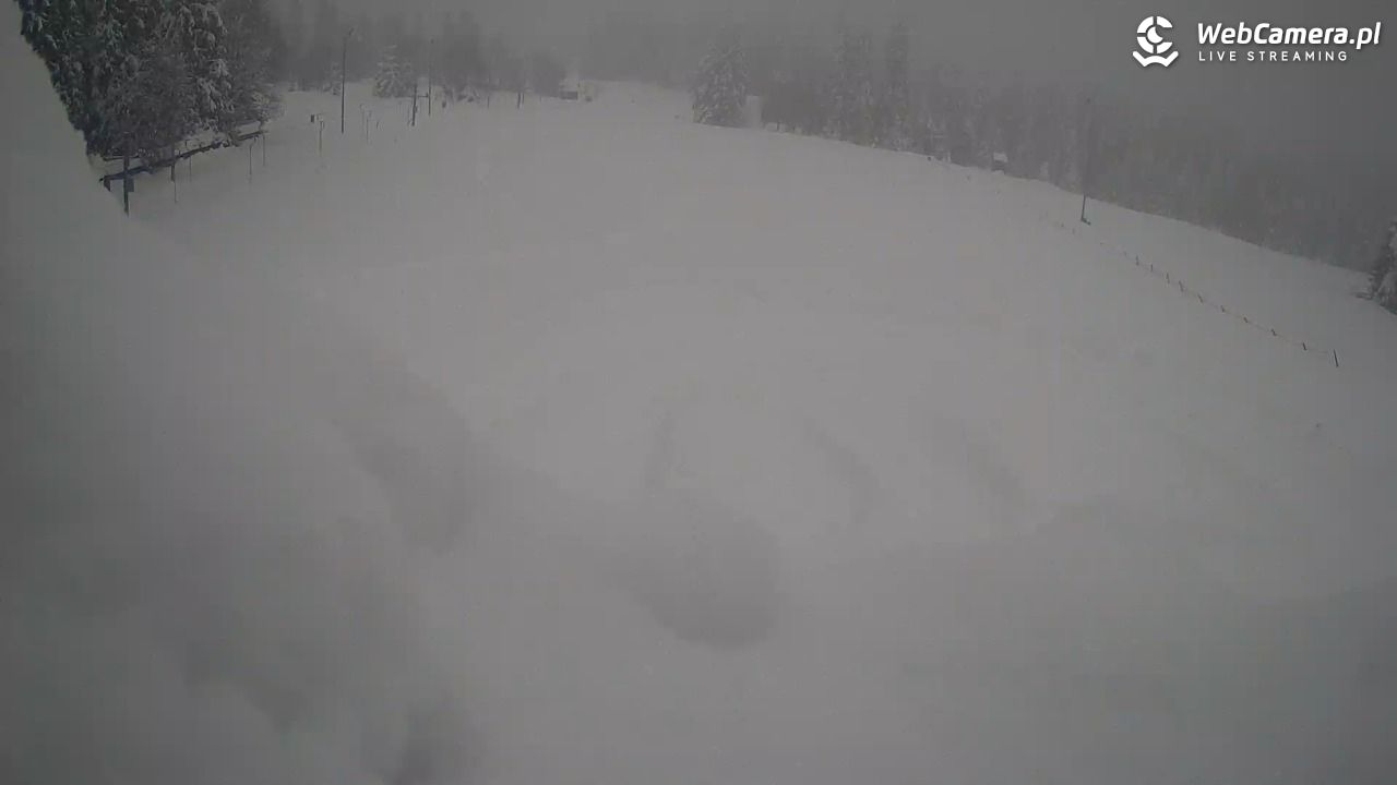 Małe Ciche - trasy - 01 kwiecień 2026, 15:35