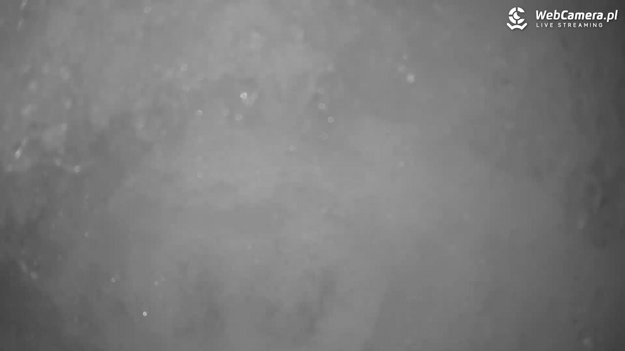 Małe Ciche - trasy - 13 styczeń 2026, 12:02