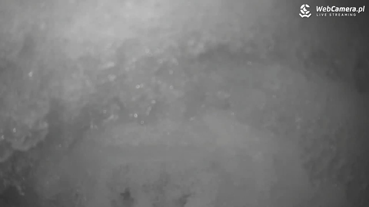 Małe Ciche - trasy - 13 styczeń 2026, 20:43