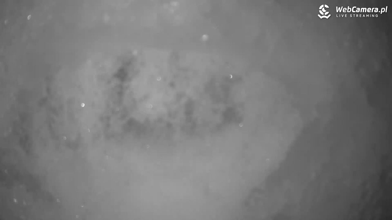 Małe Ciche - trasy - 09 styczeń 2026, 19:01