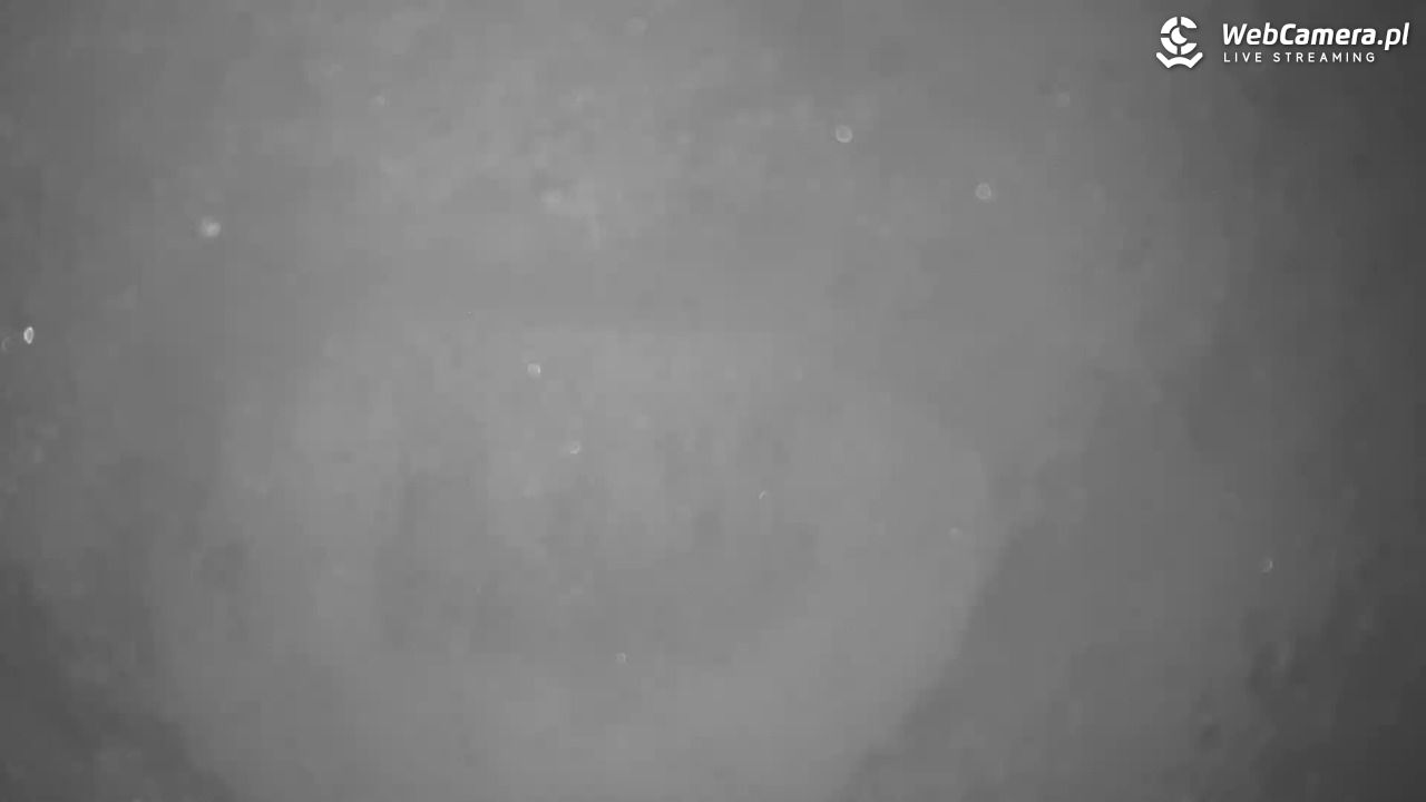 Małe Ciche - trasy - 11 styczeń 2026, 12:05