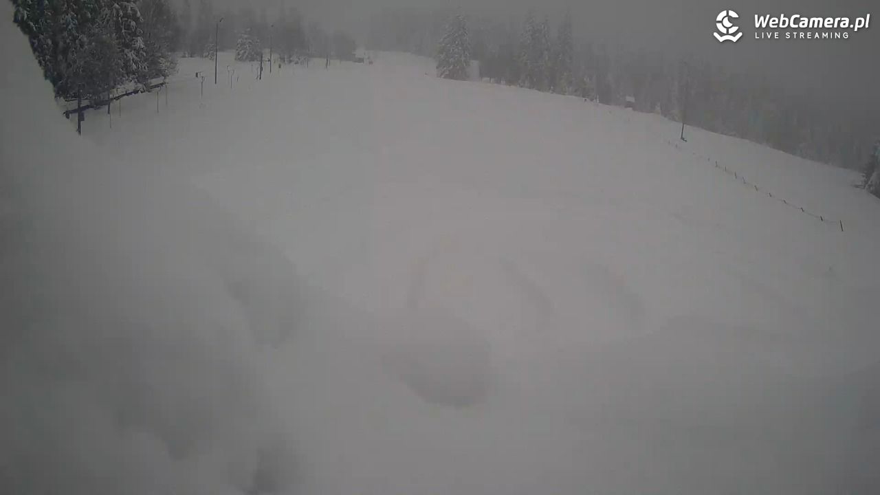 Małe Ciche - trasy - 01 kwiecień 2026, 15:38