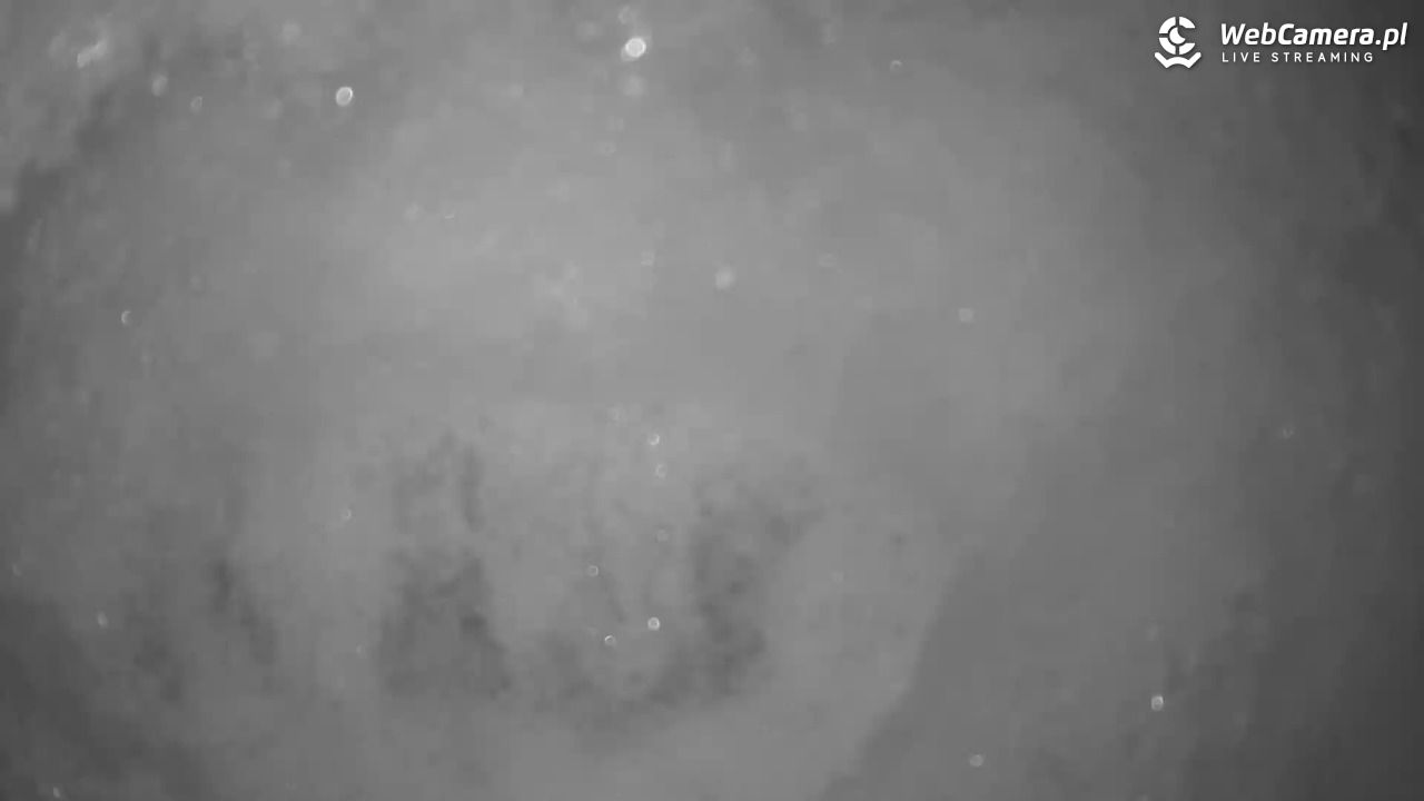 Małe Ciche - trasy - 12 styczeń 2026, 04:27