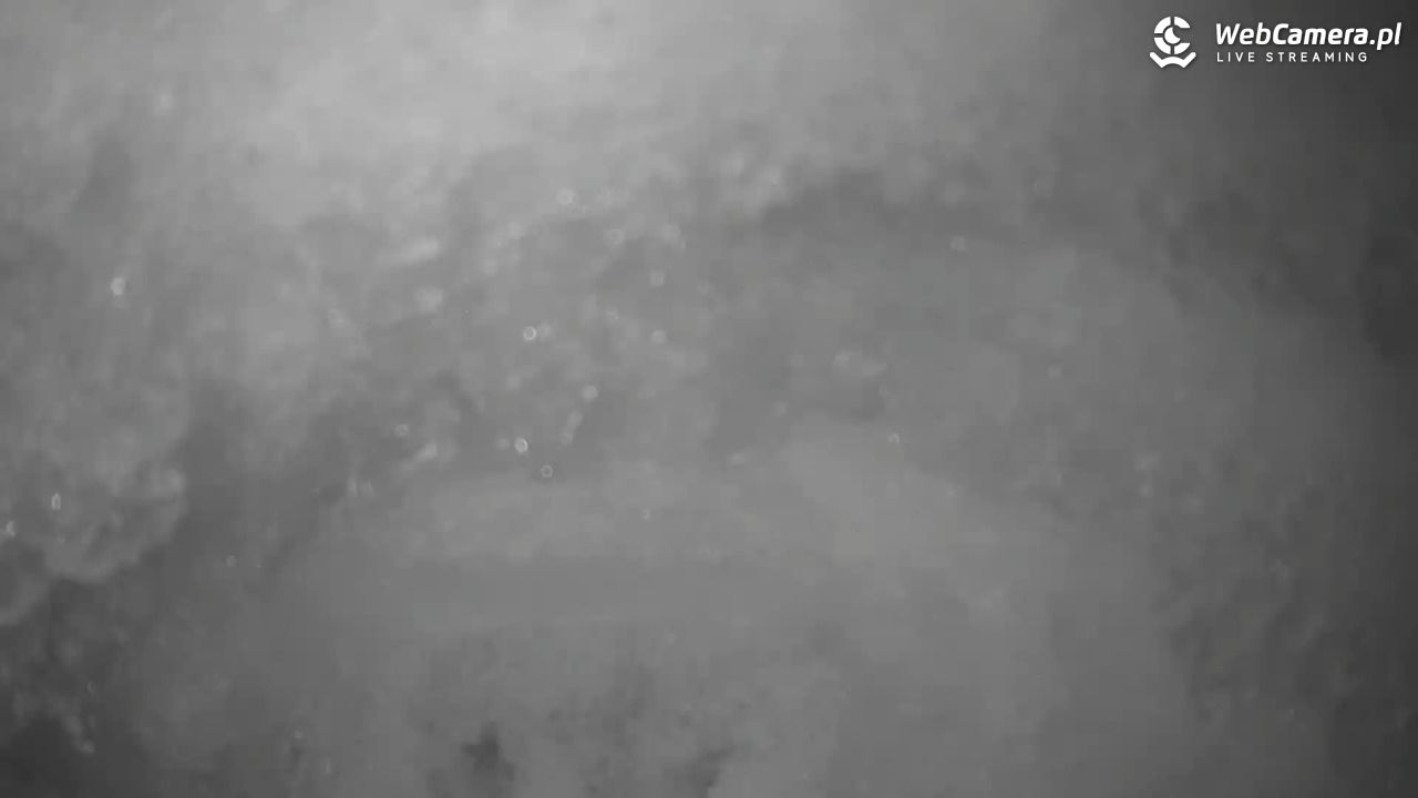 Małe Ciche - trasy - 13 styczeń 2026, 20:43