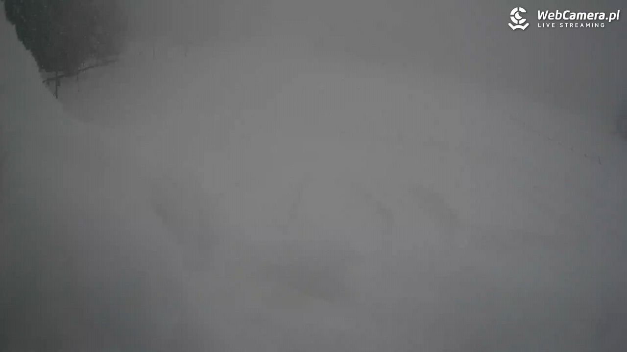 Małe Ciche - trasy - 01 kwiecień 2026, 14:24