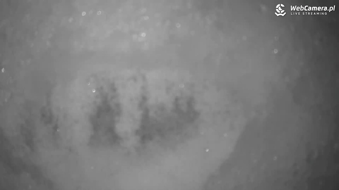 Małe Ciche - trasy - 10 styczeń 2026, 22:13