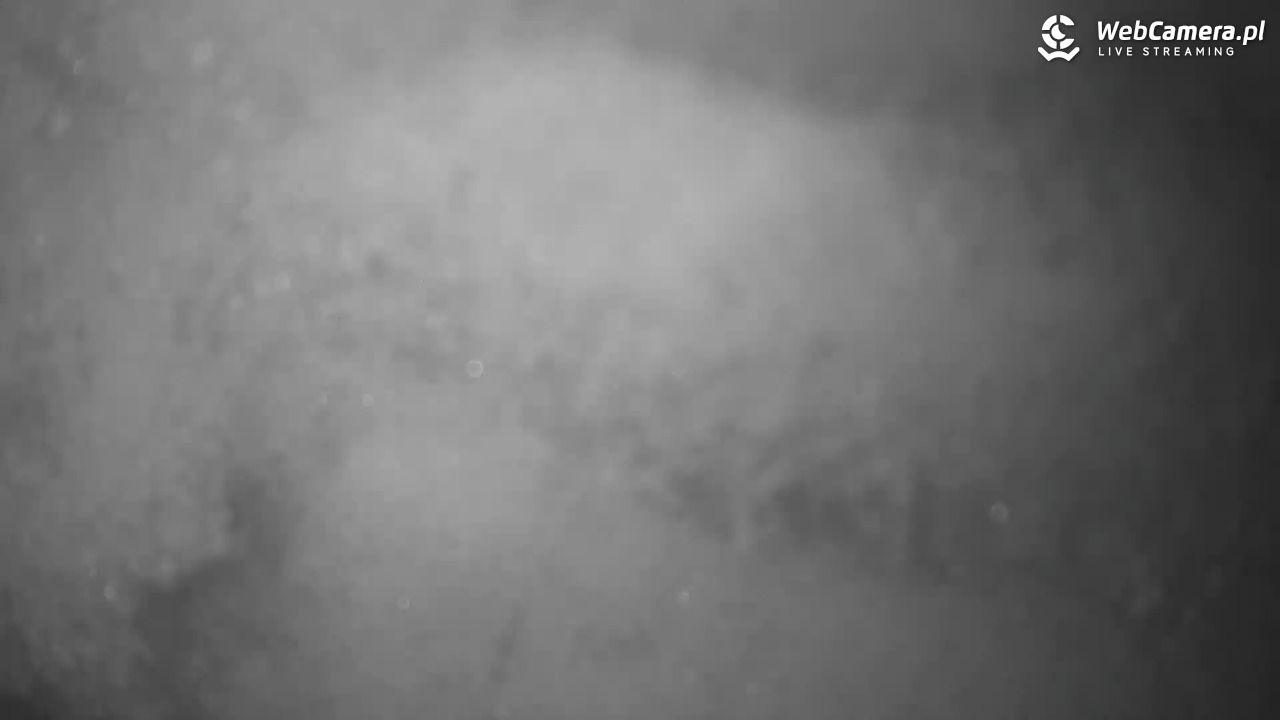 Małe Ciche - trasy - 02 kwiecień 2026, 08:14