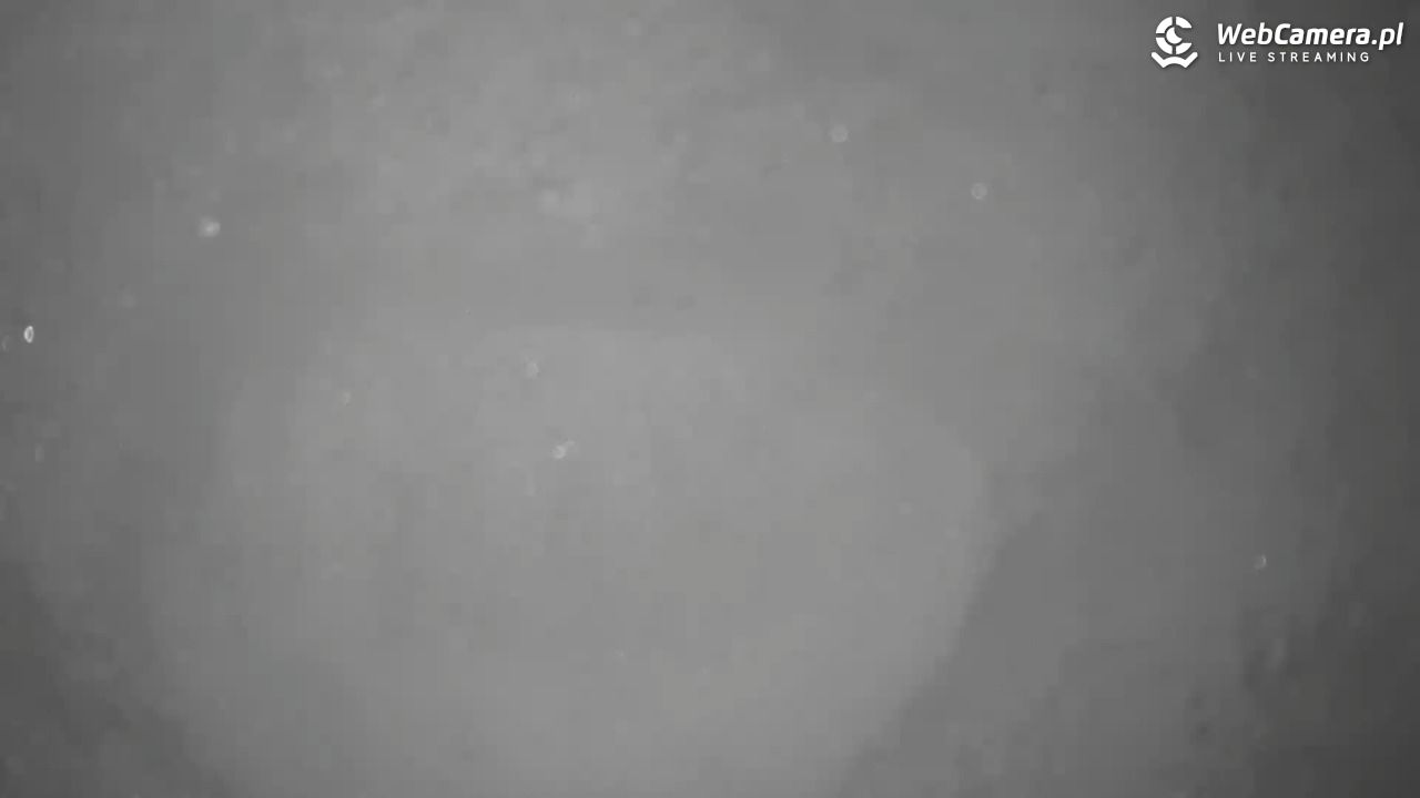 Małe Ciche - trasy - 11 styczeń 2026, 12:17