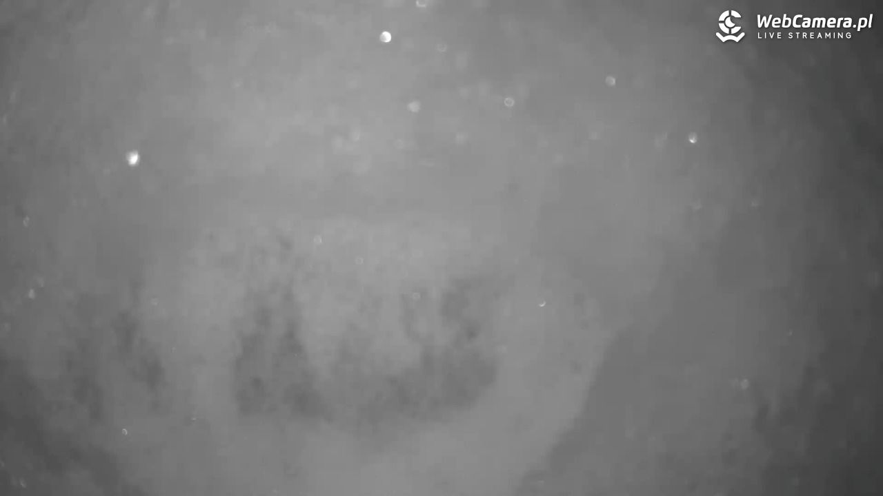 Małe Ciche - trasy - 11 styczeń 2026, 18:54