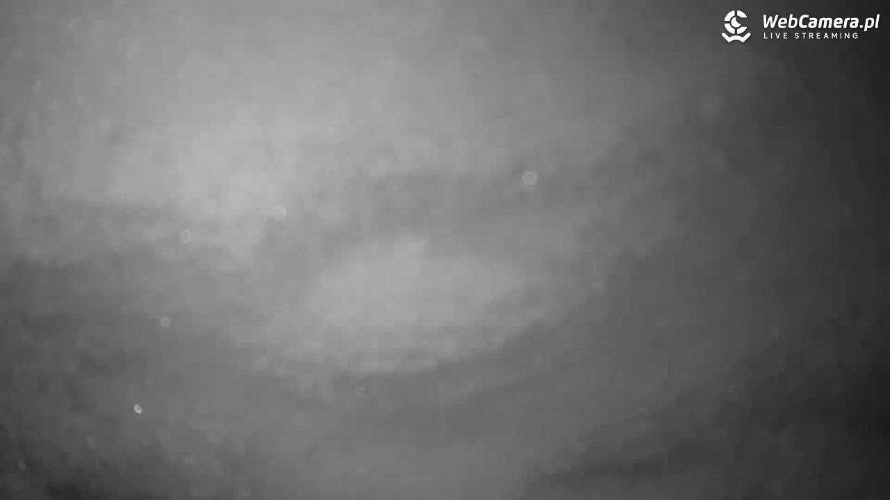 Małe Ciche - trasy - 23 listopad 2025, 14:13