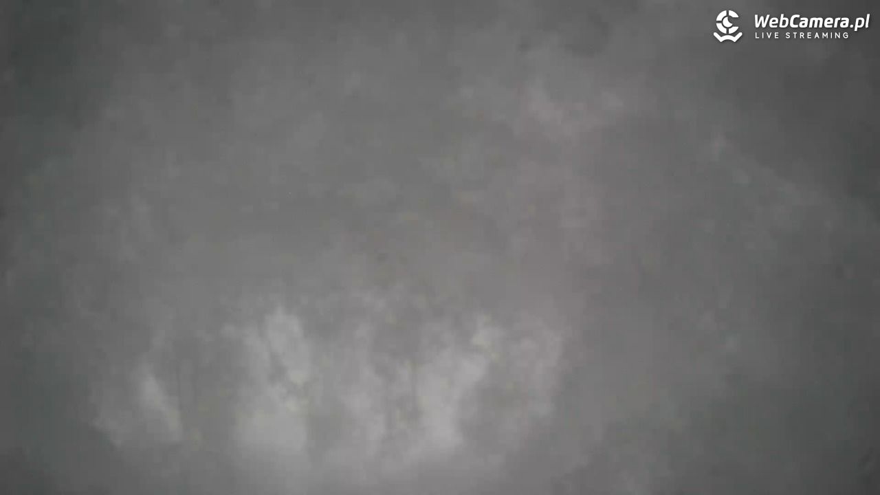 Małe Ciche - trasy - 12 styczeń 2026, 14:03