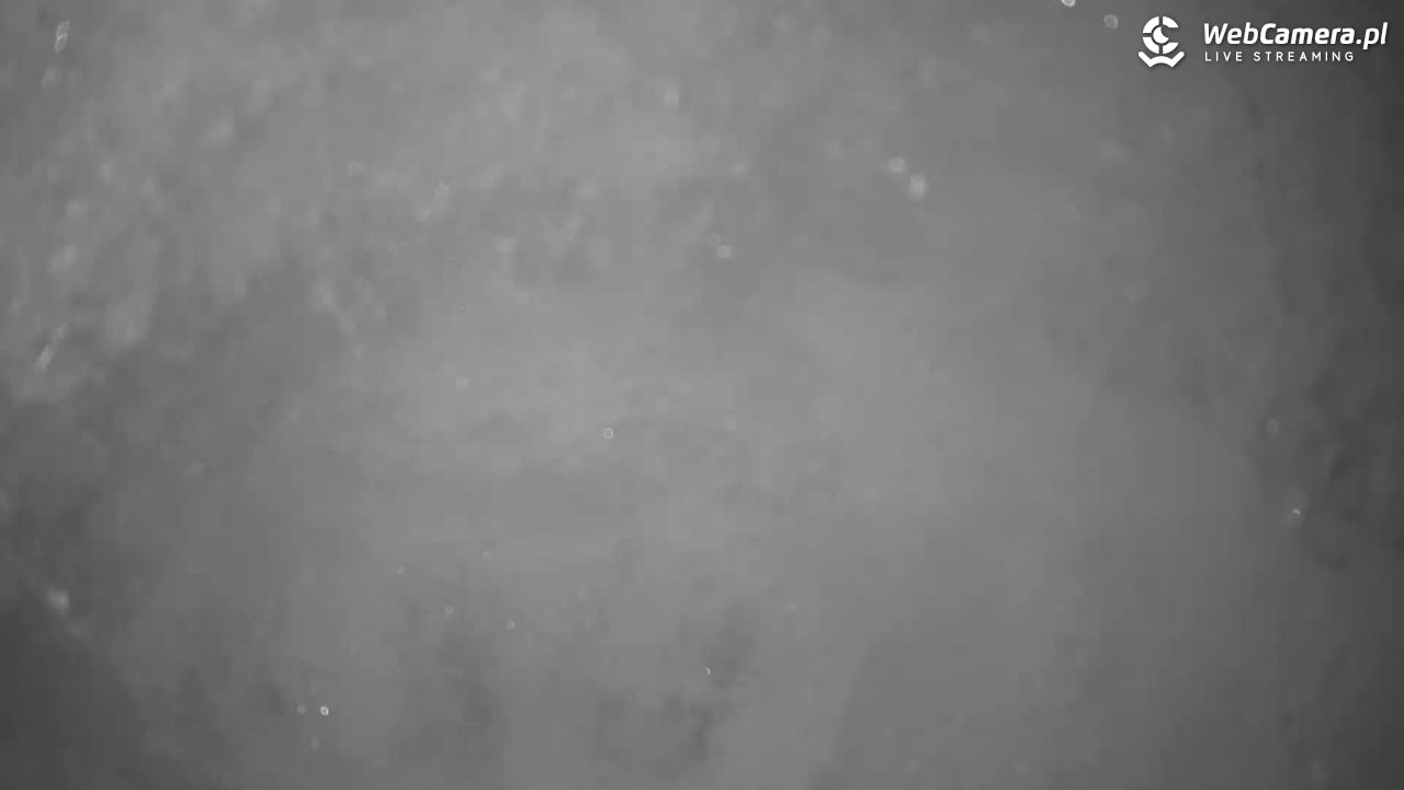 Małe Ciche - trasy - 13 styczeń 2026, 12:52