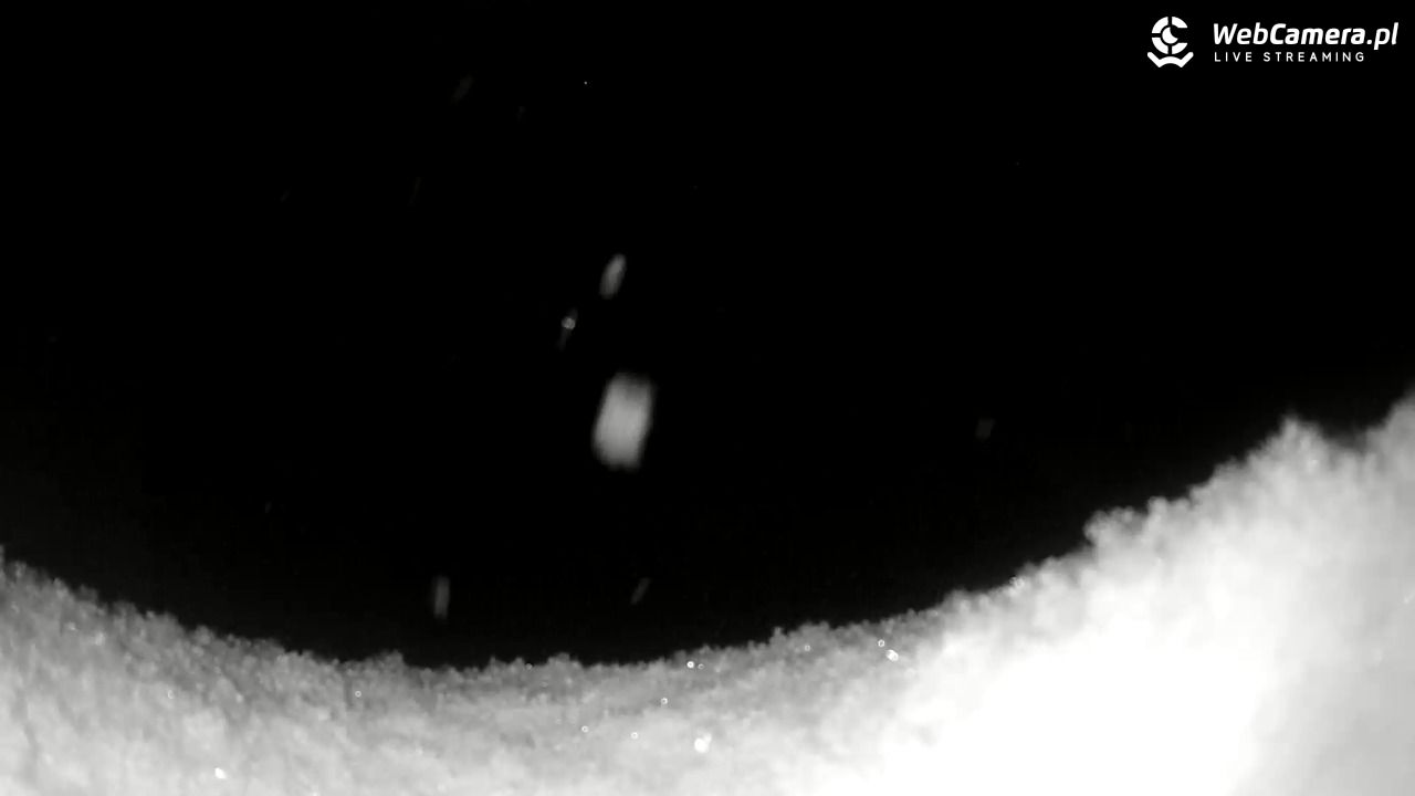 Małe Ciche - trasy - 30 marzec 2026, 21:00