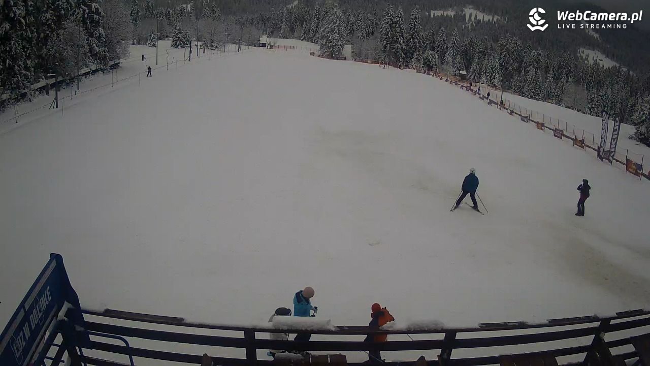 Małe Ciche - trasy - 25 luty 2026, 16:01