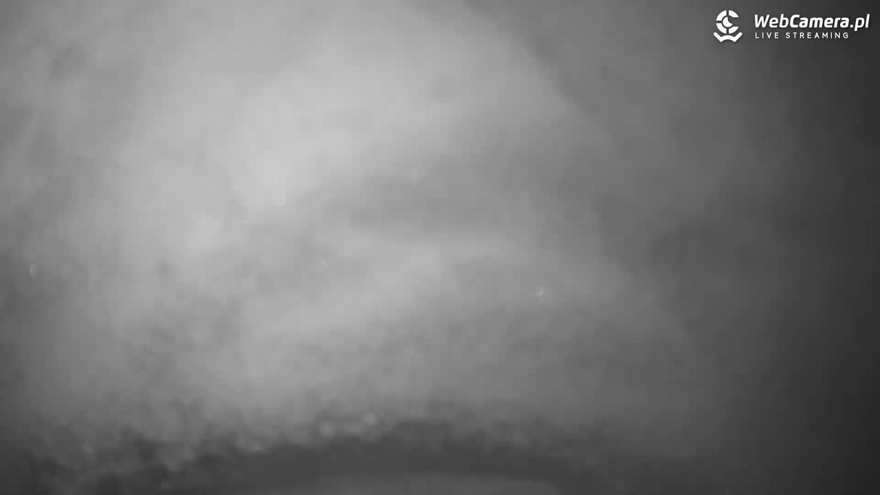 Małe Ciche - trasy - 28 marzec 2026, 08:16