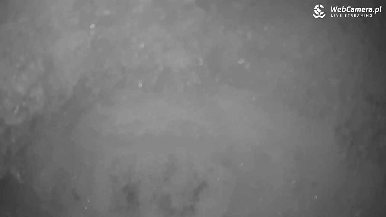 Małe Ciche - trasy - 13 styczeń 2026, 15:12