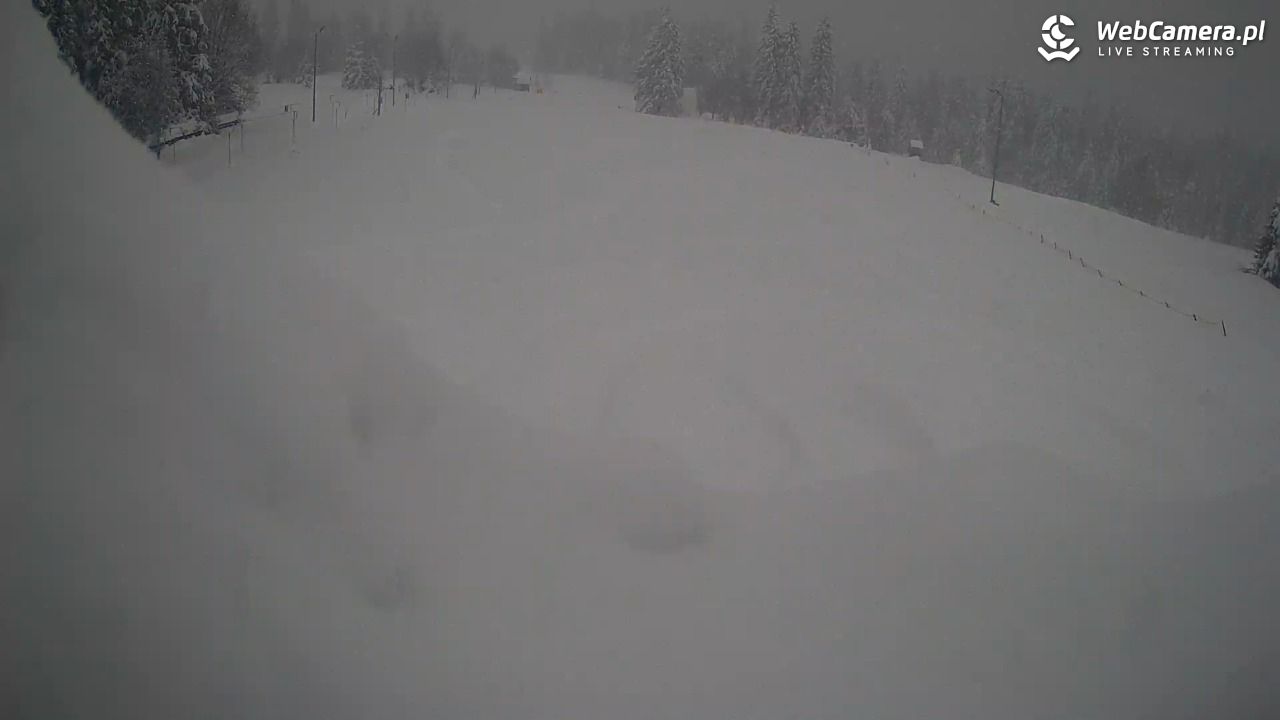 Małe Ciche - trasy - 01 kwiecień 2026, 16:41