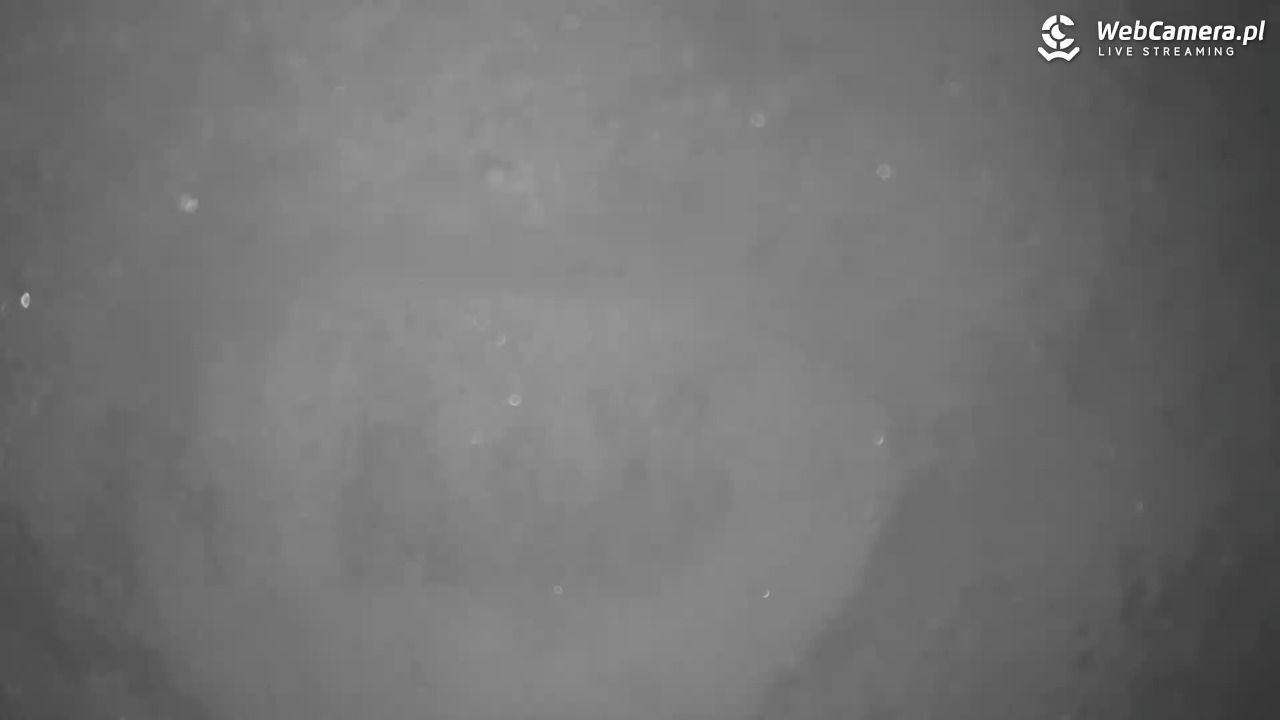 Małe Ciche - trasy - 11 styczeń 2026, 11:55