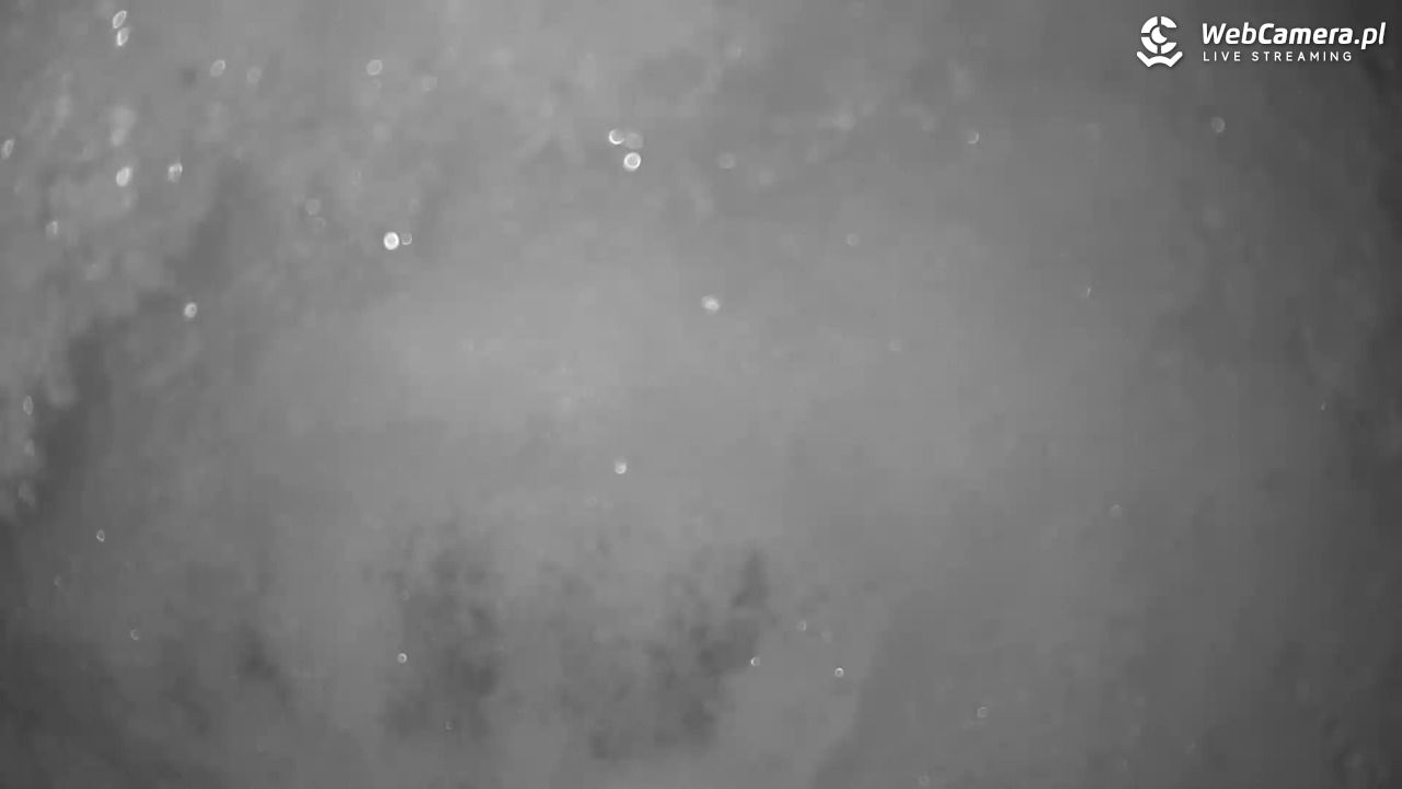 Małe Ciche - trasy - 13 styczeń 2026, 02:10