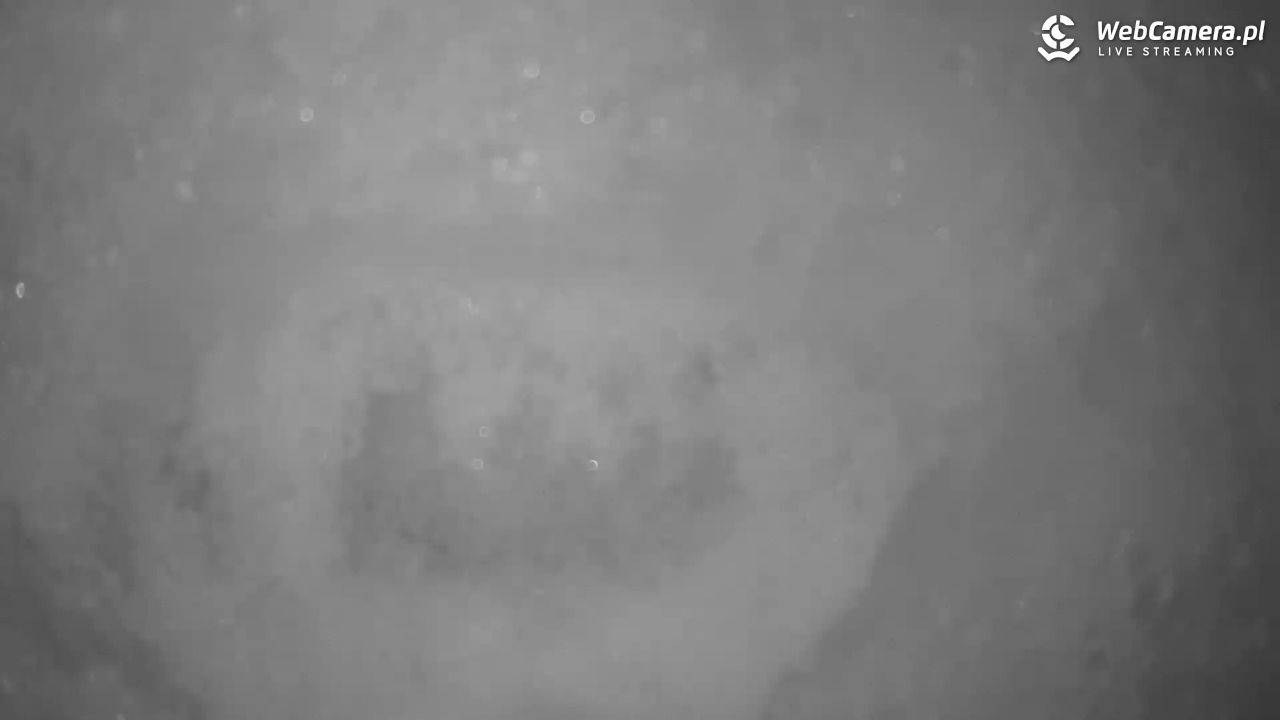 Małe Ciche - trasy - 11 styczeń 2026, 08:50