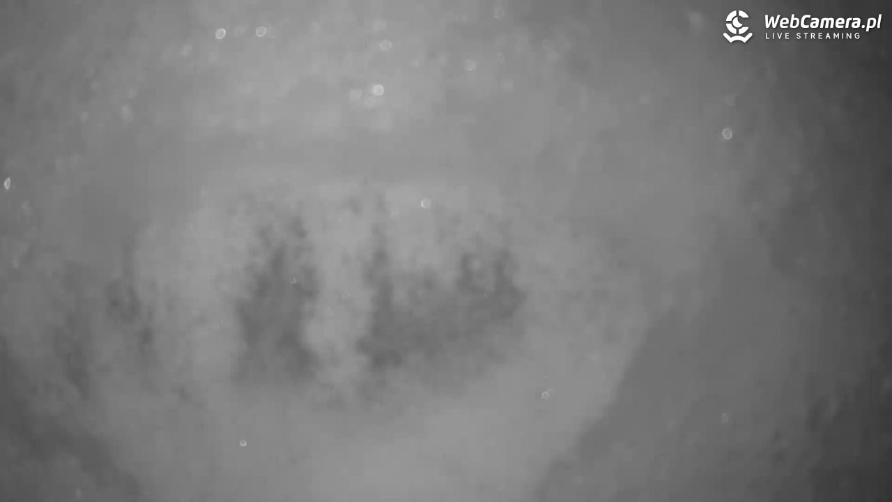 Małe Ciche - trasy - 10 styczeń 2026, 21:01