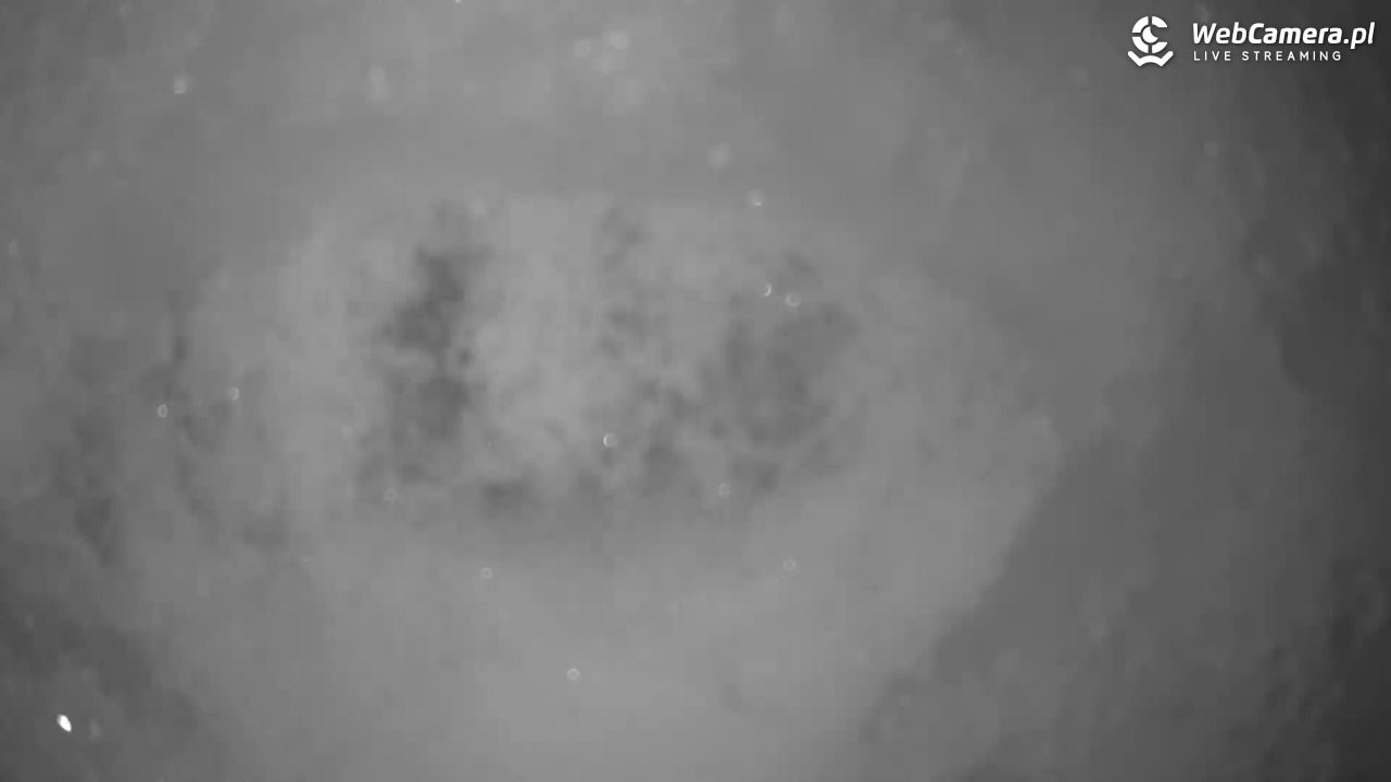 Małe Ciche - trasy - 09 styczeń 2026, 22:57