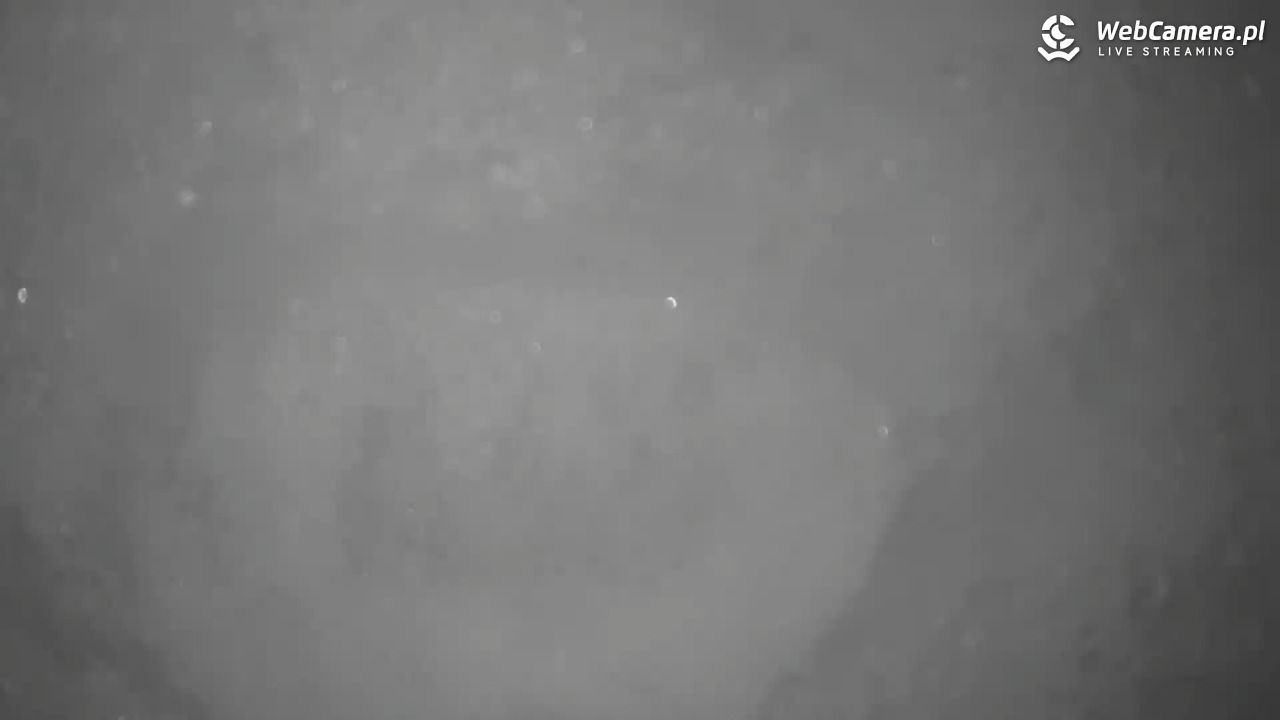 Małe Ciche - trasy - 11 styczeń 2026, 10:25