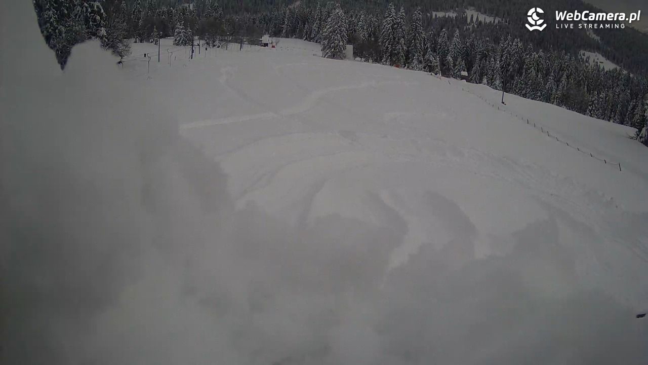 Małe Ciche - trasy - 01 kwiecień 2026, 10:26