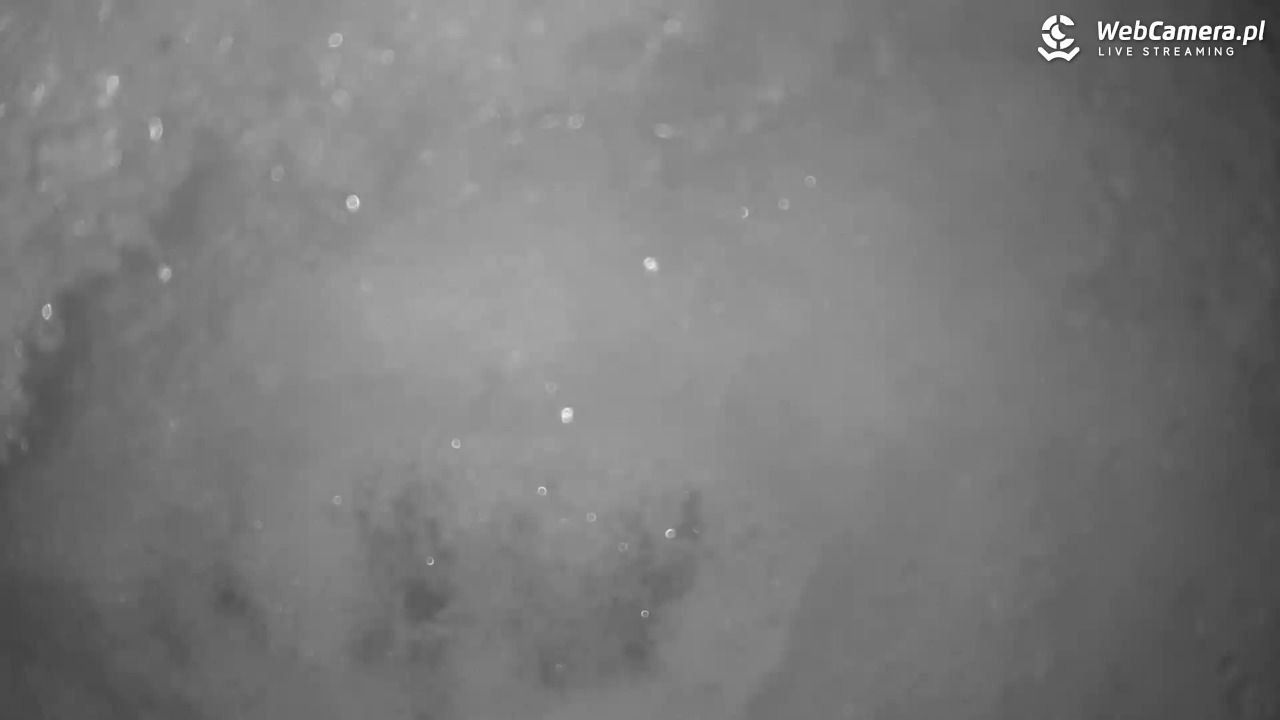 Małe Ciche - trasy - 12 styczeń 2026, 23:03