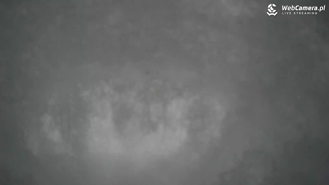 Małe Ciche - trasy - 11 styczeń 2026, 15:47