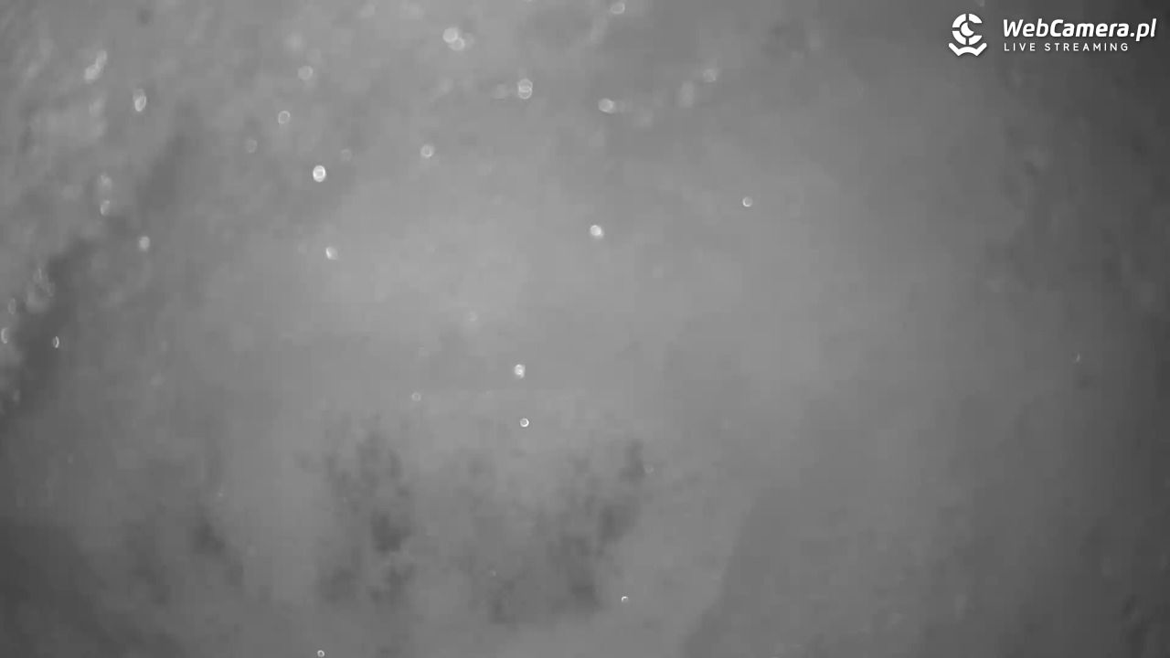 Małe Ciche - trasy - 12 styczeń 2026, 20:18