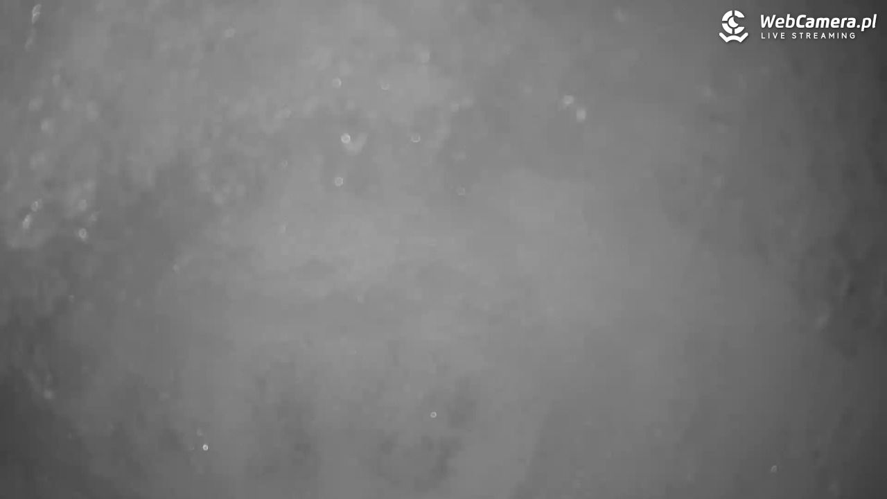 Małe Ciche - trasy - 13 styczeń 2026, 12:25