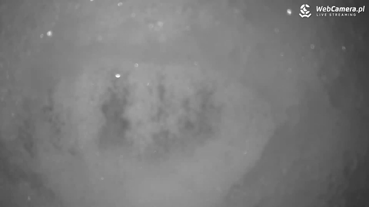 Małe Ciche - trasy - 10 styczeń 2026, 07:54