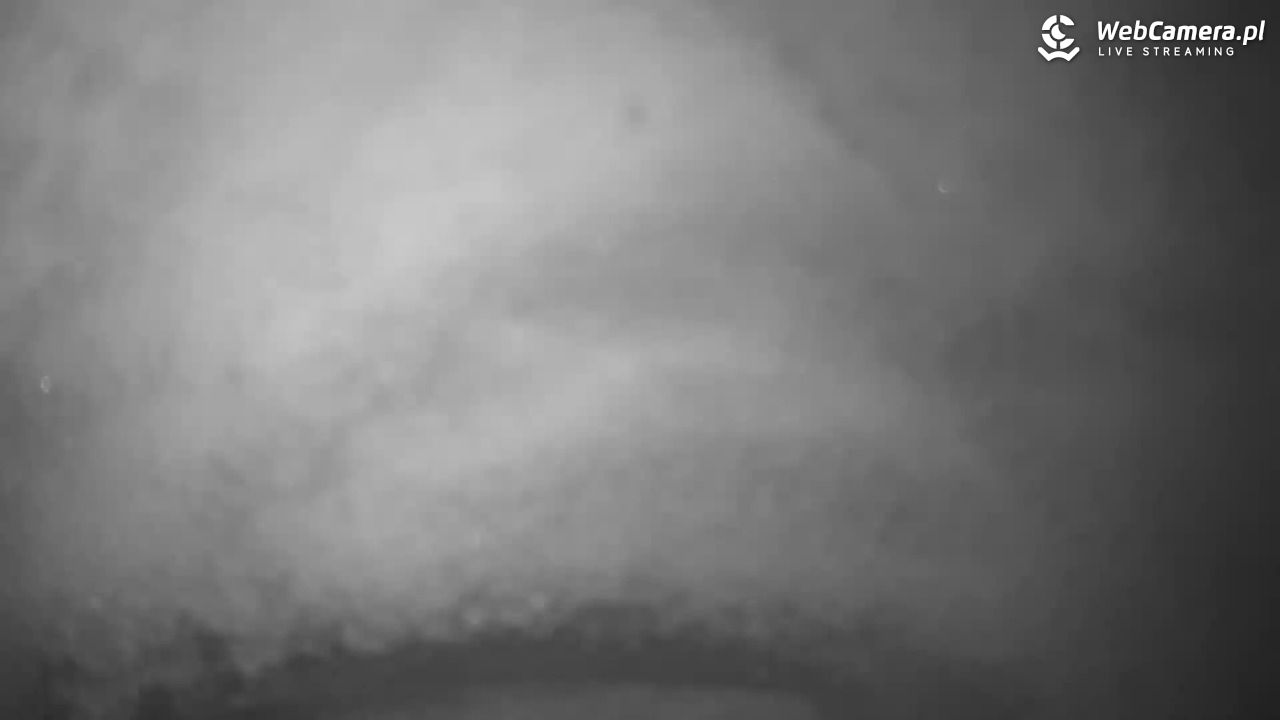 Małe Ciche - trasy - 28 marzec 2026, 08:03